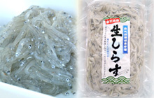 生しらす