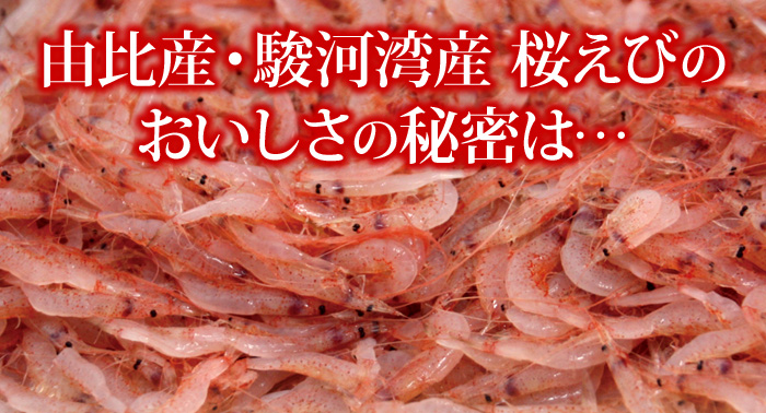 由比産桜えびのおいしさの秘密